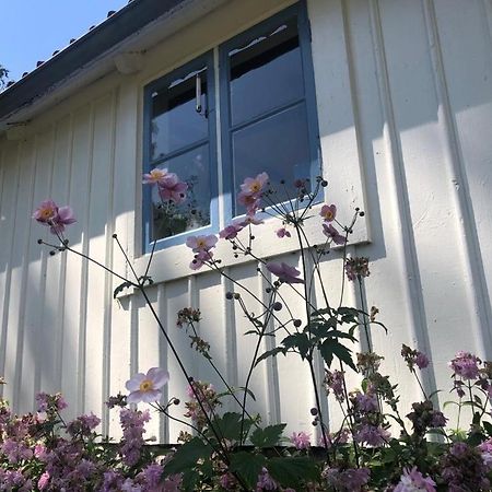 Seaside Cottage Haga Park Frobygarda エクステリア 写真
