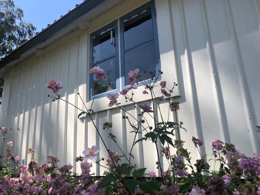 Seaside Cottage Haga Park Frobygarda エクステリア 写真